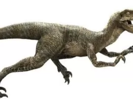 Descubre las dimensiones exactas del velociraptor: ¿cuánto mide realmente?
