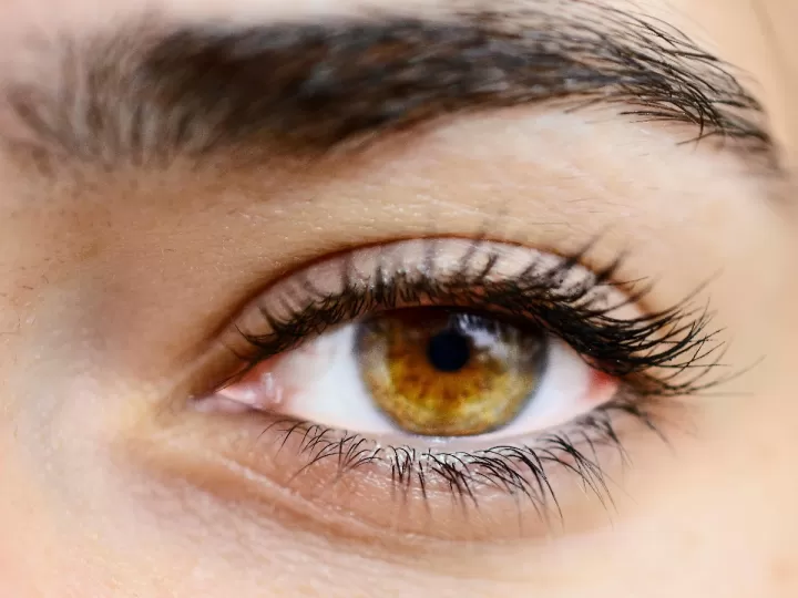 color hazel