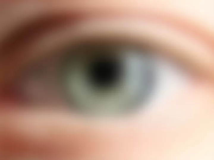 lentillas grises
