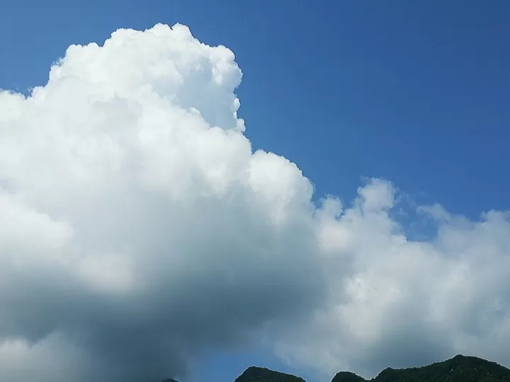 purevision 2