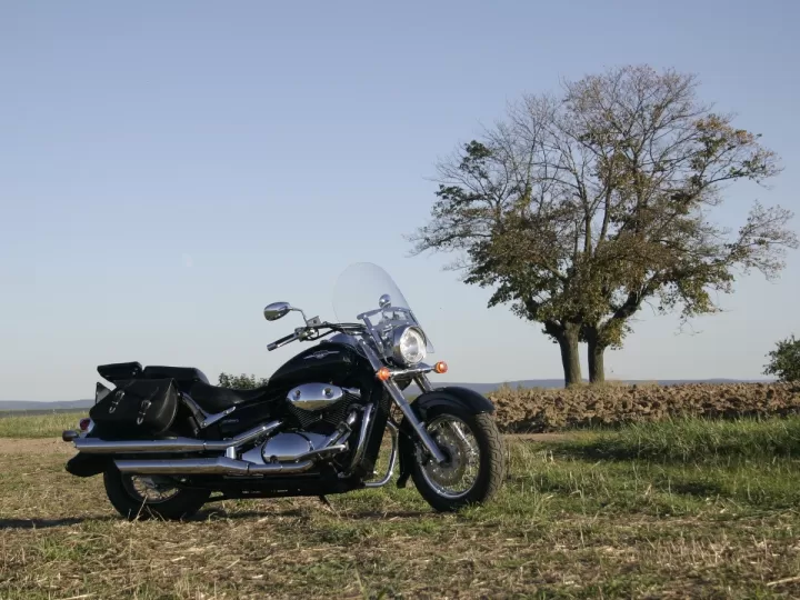 suzuki intruder 250