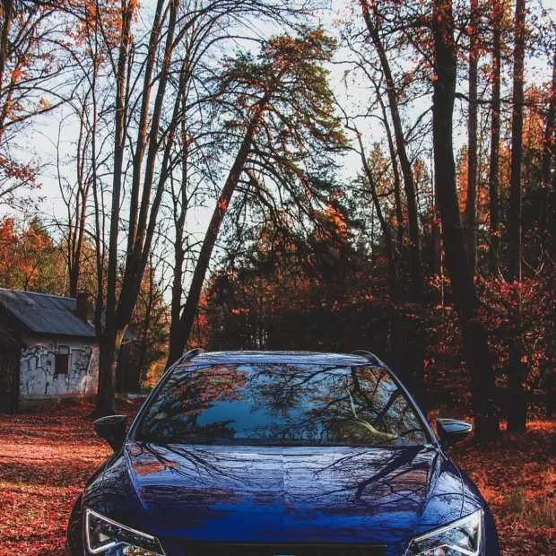 termostato seat leon mk1